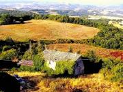 Rustico / Casale in vendita a Massa Martana PG