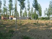 Rustico / Casale in vendita a Massanzago PD