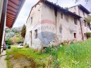 Rustico / Casale in vendita a Massarosa LU