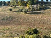 Rustico / Casale in vendita a Massignano AP