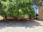 Rustico / Casale in vendita a Mazara del Vallo TP Rustico / Casale in vendita a Mazara del Vallo TP