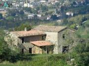 Rustico / Casale in vendita a Meldola FC