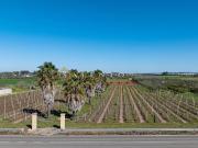 Rustico / Casale in vendita a Melissano LE