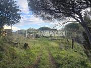 Rustico / Casale in vendita a Messina ME Rustico / Casale in vendita a Messina ME