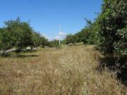 Rustico / Casale in vendita a Modica RG