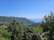 Rustico / Casale in vendita a Moneglia GE