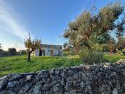 Rustico / Casale in vendita a Monopoli BA