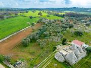 Rustico / Casale in vendita a Monopoli BA