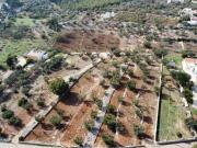 Rustico / Casale in vendita a Monopoli BA