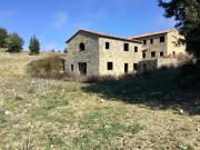 Rustico / Casale in vendita a Montalcino SI