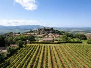 Rustico / Casale in vendita a Montalcino SI