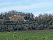 Rustico / Casale in vendita a Montalto delle Marche AP