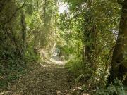 Rustico / Casale in vendita a Montasola RI