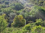 Rustico / Casale in vendita a Monte Argentario GR