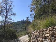 Rustico / Casale in vendita a Monte Argentario GR