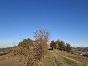 Rustico / Casale in vendita a Monte San Pietro BO