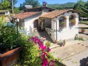 Rustico / Casale in vendita a Monte San Savino AR