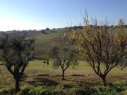 Rustico / Casale in vendita a Montecassiano MC