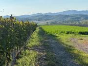Rustico / Casale in vendita a Montecatini Val di Cecina PI