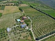 Rustico / Casale in vendita a Montegabbione TR