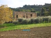 Rustico / Casale in vendita a Montegiorgio FM