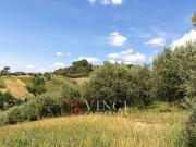 Rustico / Casale in vendita a Montegiorgio FM