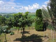 Rustico / Casale in vendita a Montemagno AT