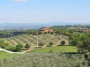 Rustico / Casale in vendita a Montepulciano SI