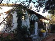 Rustico / Casale in vendita a Montescudaio PI