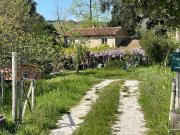 Rustico / Casale in vendita a Montescudaio PI