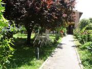 Rustico / Casale in vendita a Montespertoli FI