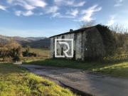 Rustico / Casale in vendita a Montiano FC