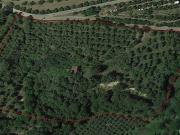 Rustico / Casale in vendita a Montopoli in Val d'Arno PI