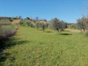 Rustico / Casale in vendita a Mosciano Sant'Angelo TE