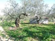 Rustico / Casale in vendita a Moscufo PE