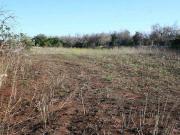 Rustico / Casale in vendita a Naro AG