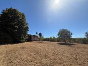 Villa in vendita a Nettuno RM