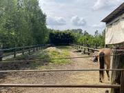 Rustico / Casale in vendita a Noale VE