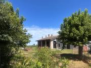 Rustico / Casale in vendita a Nogarole Rocca VR