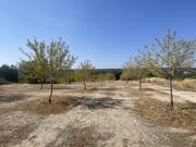 Rustico / Casale in vendita a Noto SR