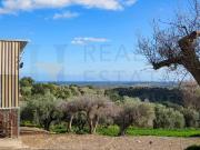 Rustico / Casale in vendita a Noto SR
