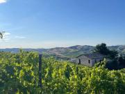 Rustico / Casale in vendita a Offida AP