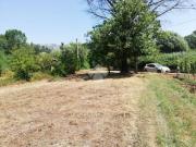 Rustico / Casale in vendita a Olevano Romano RM