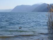 Rustico / Casale in vendita a Omegna VB