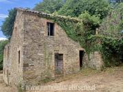 Rustico / Casale in vendita a Orvieto TR