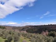 Rustico / Casale in vendita a Orvieto TR