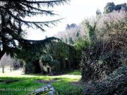 Rustico / Casale in vendita a Orvieto TR