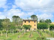 Rustico / Casale in vendita a Ostra Vetere AN