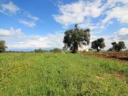 Rustico / Casale in vendita a Ostuni BR