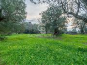 Rustico / Casale in vendita a Ostuni BR